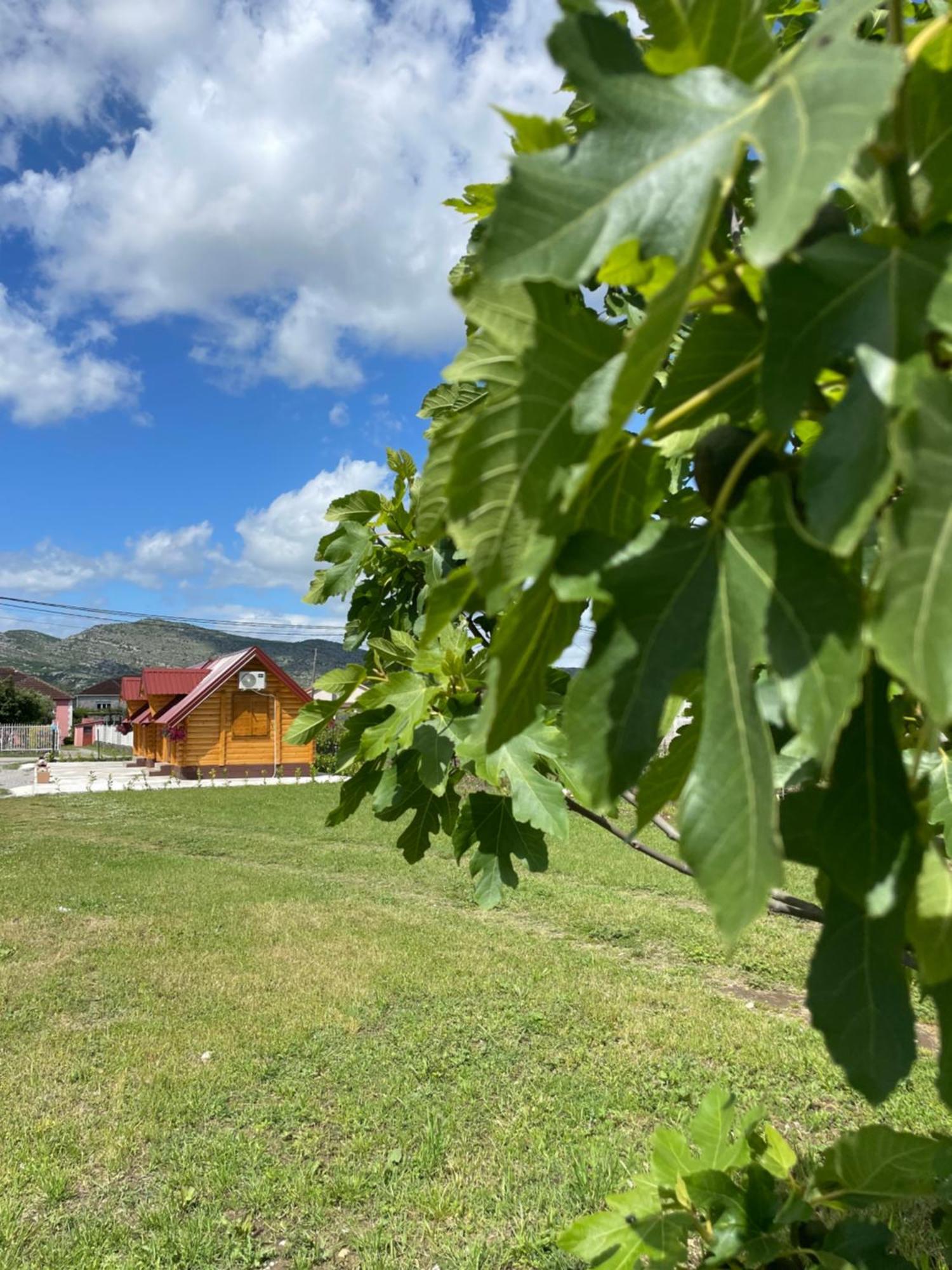 Cozy Bungallows Podgorica Kültér fotó